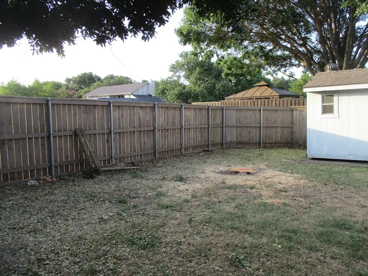 Cleared yard after professional tree removal in Hillrose