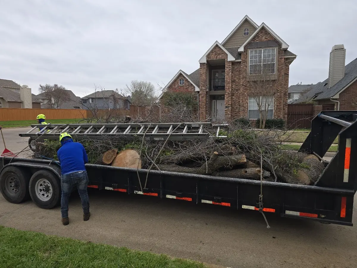 Expert Tree Fertilization with proper safety equipment in Hillrose